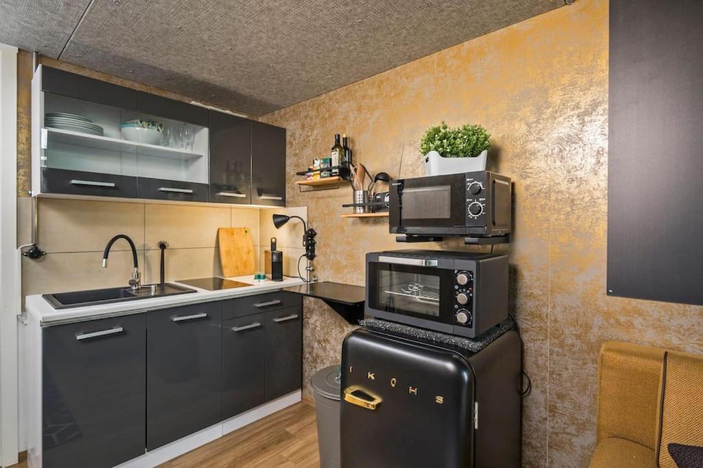 شقة Dresden Loft An Der Elbe المظهر الخارجي الصورة
