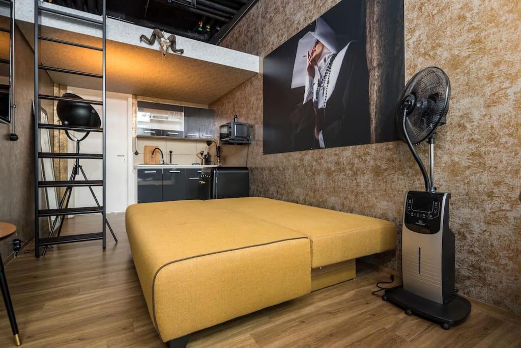 شقة Dresden Loft An Der Elbe المظهر الخارجي الصورة